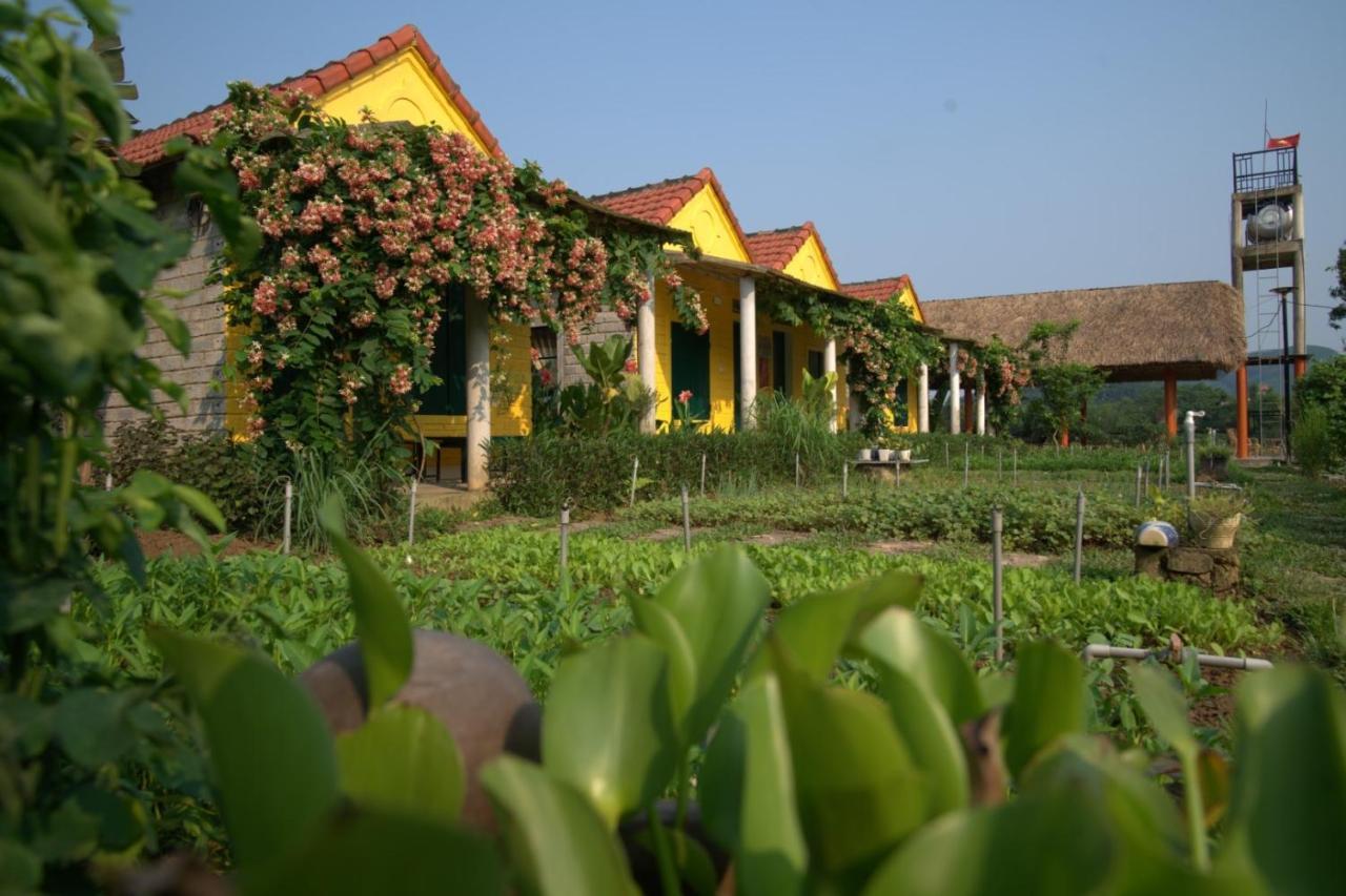 Greenfield Ecostay Phong Nha Extérieur photo
